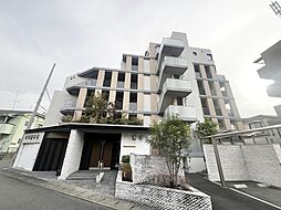 Cielo　Wisteria 503