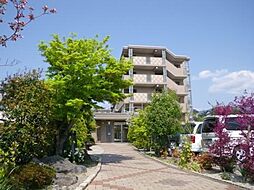 プロムナード・セリーヌ参番館 203