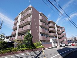 グランデバードレ 503