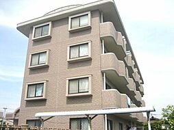 クレセール菜の花 202