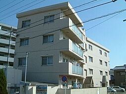 アイディール16 302
