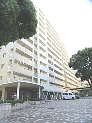 シティコート目黒2号棟 2