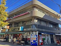 レオネクストニシダイ