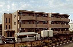 ファイン石上 203