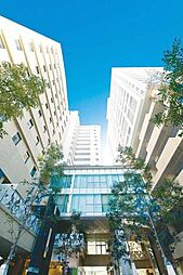 天神プレイス　ＷＥＳＴ棟 1208