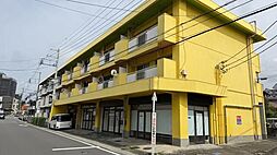 マキシスイシダ 301
