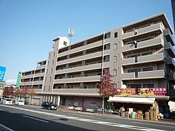 エクセルコートゼンショウ 603