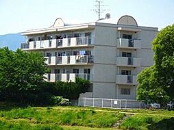 リバーピア大橋 102