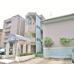 パストラーナ美好 101