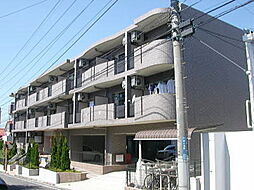 スカイヒルズ市ヶ尾 305