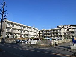 A-RISE 208