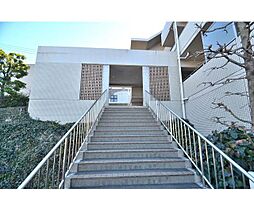 ＭＹＴ・ＰＡＲＡＣＩＯ 203