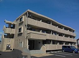 シャンフィオーレ