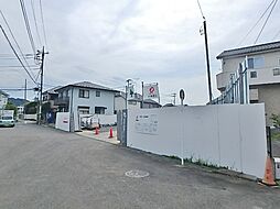 ルピナスIII 301