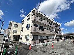 アムールオオカサ 106