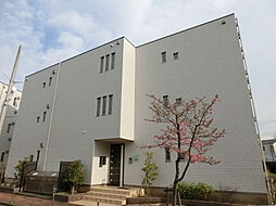 ラシーネ扇　アイリス 302