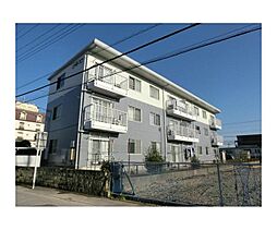 ピアガーデン 303