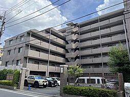 ステラコート