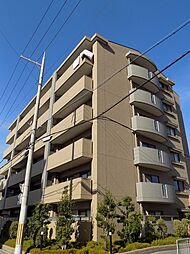 エンジェルズ・アイ