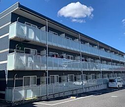 レオネクストインフィールドII