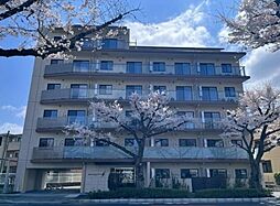 エストゥルース府中