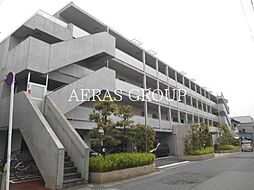 エバーグリーン