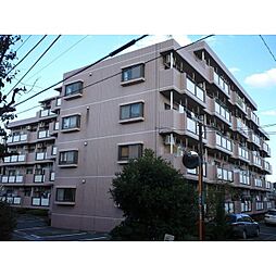 座間市ひばりが丘１丁目
