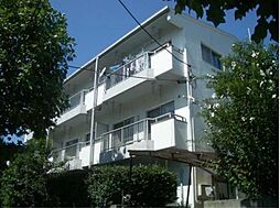 第一マンションコスモ 203