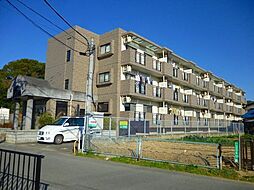 サンシャインビュー 305