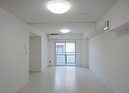 ニューリーフ菊重