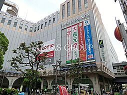 ａｐｏｌｌｏ ａｐａｒｔｍｅｎｔ