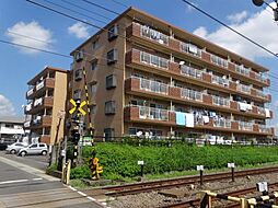 スカイプラザ湘南 502