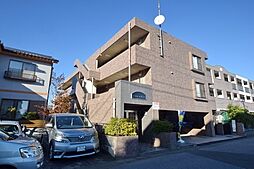 ハイムレグルス