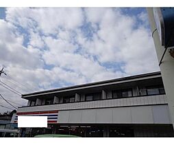 ベループ・サンタナ 203