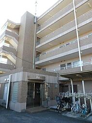 サンフラワーK 105