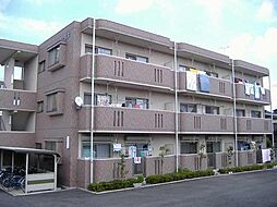 ユーミー若木 303