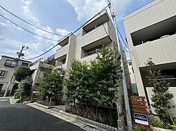 フリージア