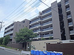 ヴィークステージ南馬込桜並木通り 803