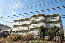 リュミエール 205