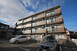 ロベリアコート