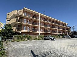 みすきゃんさすさがみ野