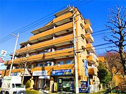 シャトルブラウンＡ 210