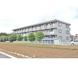 ファインドリブ 205