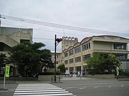 ロイヤルコーポ堺 403