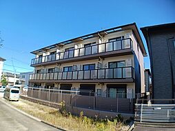 エンティム上桂