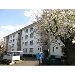 ポプラヶ丘コープ8号棟 301