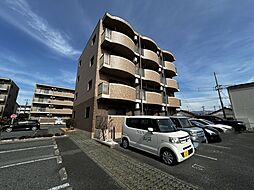 フィールドコート　ステラ 302