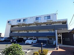 オネスティーユー　セレノ