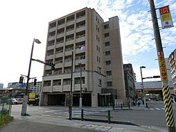 ＣＡＳＳＩＯＰＥＩＡ　ＨＡＫＯＺＡＫＩ 402