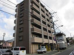 メイワコンチネンタル 1605